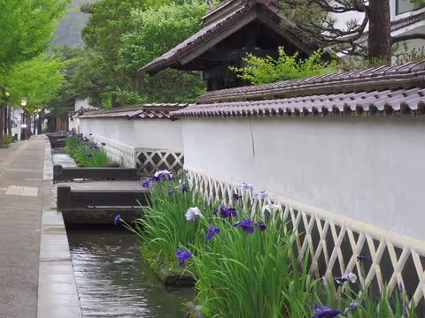 Tsuwano Highlights with a licensed guide