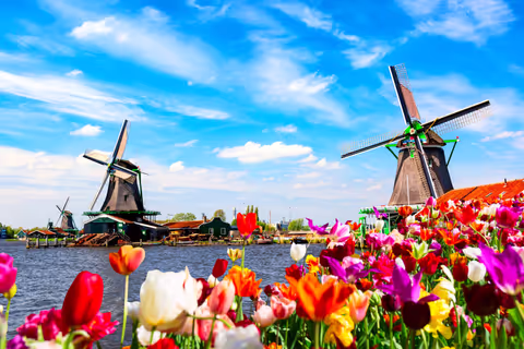 Dutch Countryside and Zaanse Schans Windmills Private Tour (Mercedes up to 7 pax)