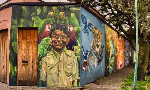 Colors of Coyoacán: Frida, Murals & Markets