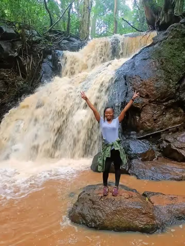 Karura Forest Tour: hiking, biking, and bird watching in tranquil surroundings.