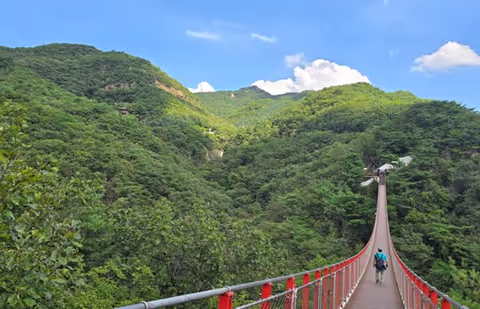 Mt. Gamaksan Hiking with suspension bridge, DMZ viewing, and Cultural Highlights from Seoul