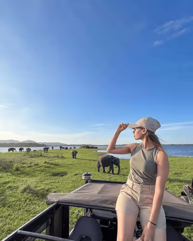 Trincomalee to Dambulla by Private Car + Safari Drive (Sedan/Compact SUV/MPV/Minivan/Minibus)