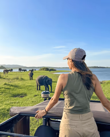 Dambulla to Trincomalee by Private Car + Safari Drive (Sedan/Compact SUV/MPV/Minivan/Minibus)