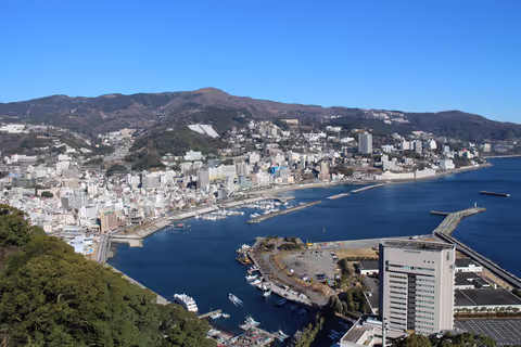 [Atami] Day Tour with a Private Car - 8h by Van (4 pax)