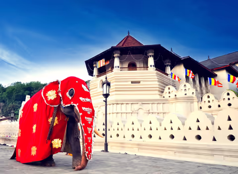 Kandy Tour from Colombo by Private Car (Sedan/Compact SUV/MPV/Minivan/Minibus)