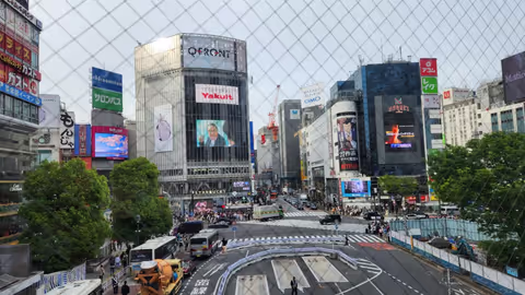 Half Day Trip in Tokyo