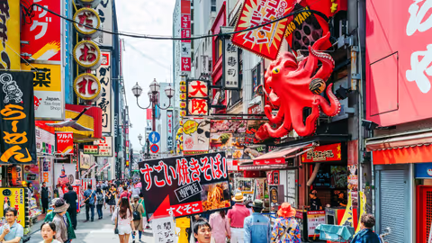 Ein unvergesslicher Tag in Osaka (6h)