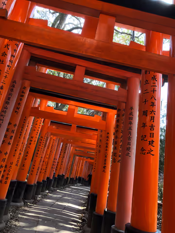 Kyoto’s Must-See Wonders: Red Gates, Bamboo Forest & Golden Temple!!