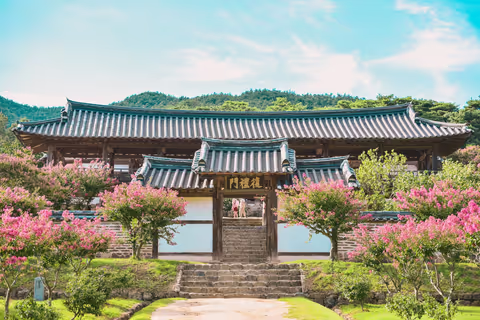 Andong's Top Attractions on a Private Tour with a Licensed guide