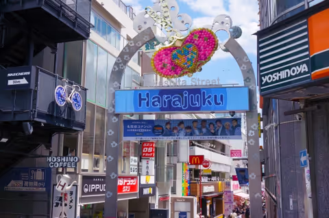 Tokyo Icons & Cultural Treasures Private Tour with local guide