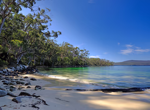 Private Tasman Peninsula day tour with a local