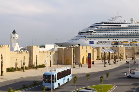 Cruise Excursion From Tunis Goulette Harbor with Private Van