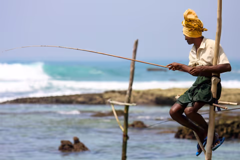 One Day Out In Hikkaduwa from Colombo by Private Car (Sedan/Compact SUV/MPV/Minivan/Minibus)