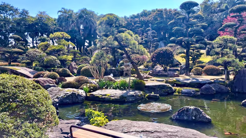 Experience Tropical Amami Island right in Kagoshima - Culture and Cuisine