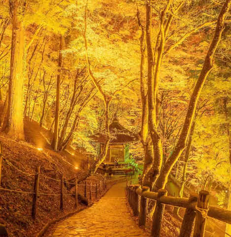 Magical Autumn Night at Korankei Valley