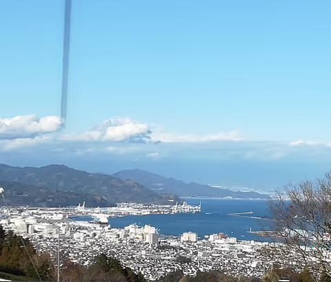 Shimizu Highlights Half-Day Tour