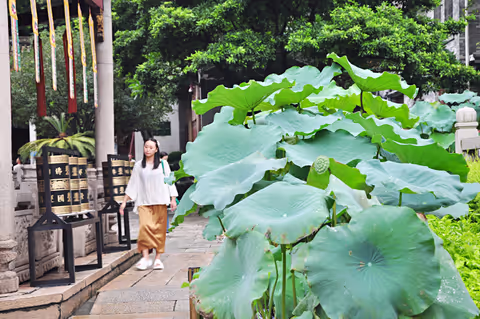 Guangzhou 8-Hour Layover Tour: From Ancient Temples to Modern Skylines