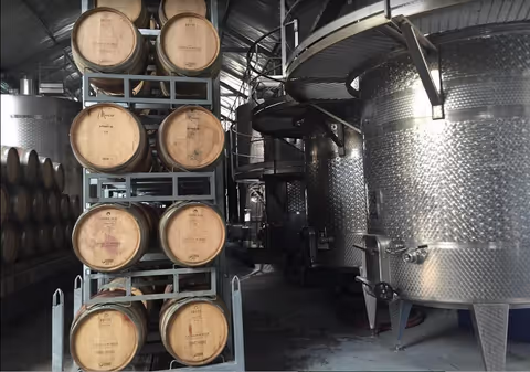 Premium Wine & Landmark Tour Santa Rita (By van/sprinter and walking tour)