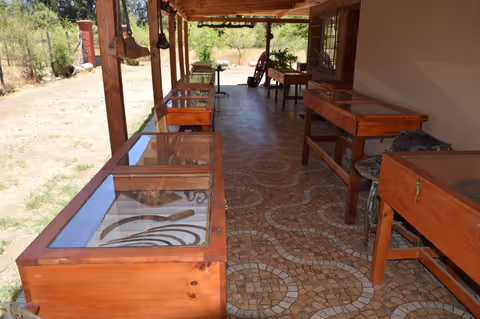 Drive Tour to Pirque's Rural Museum and Alyan Family Wines - by Private Van or Sprinter