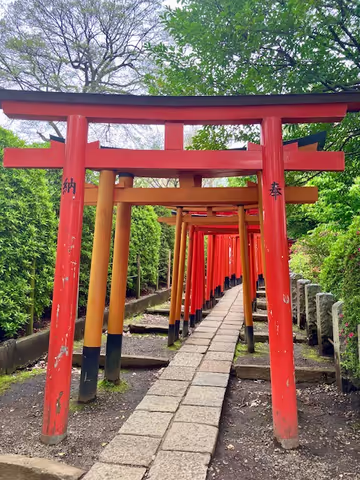 Explore Tokyo Hidden Gems Walking Tour by Trains