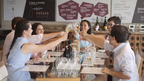 Classic Wineries Tour in Luján de Cuyo – Sparkling Wines, Reds & Mountain Views with Private Car/Van