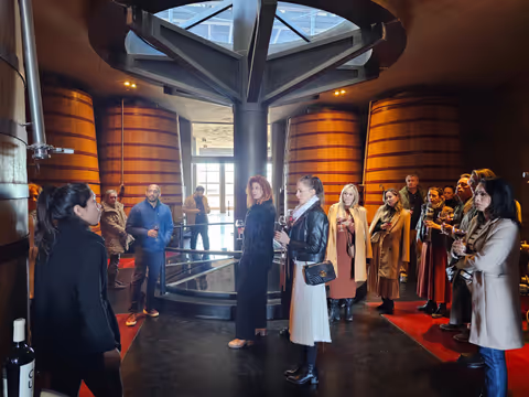 Uco Valley Wine Experience, Elegance, Flavor & the Andes with Private Car/Van