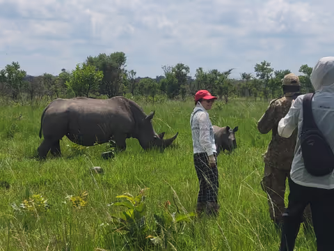 Ziwa Rhino trekking tour with Pick up & drop off