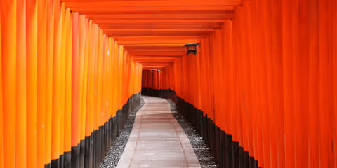 Kyoto's highlights walking tour by public transport
