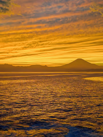 Explore Kamakura’s Secret Trails and Enoshima Island with a Local Guide