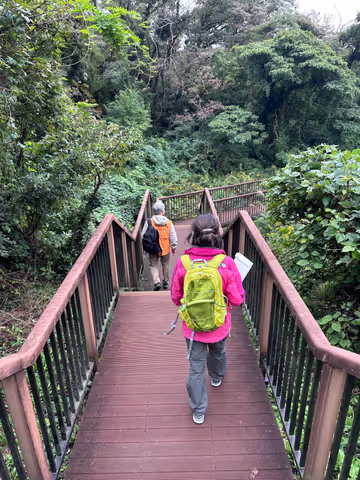 Koajiro Forest Trek: A Journey with Nature and Local Flavors