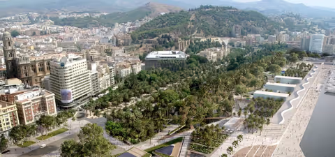 Enjoy a visit to Malaga (Sedan 1-4 PAX)