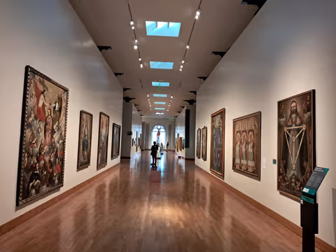 Half day tour -  Casa Aliaga and MALI