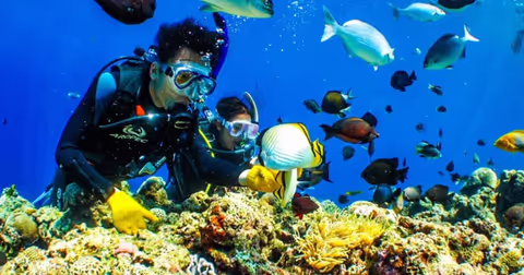 Tokyo–Izu Premium Diving & Sightseeing Tour