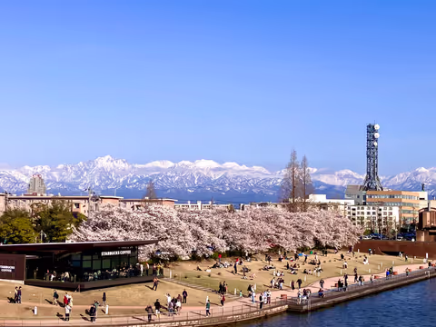 Toyama  6-Hour Private Tour by Tram with Government Licensed Guide