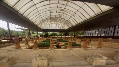 Conimbriga: walking tour to the incredible roman city (4h)