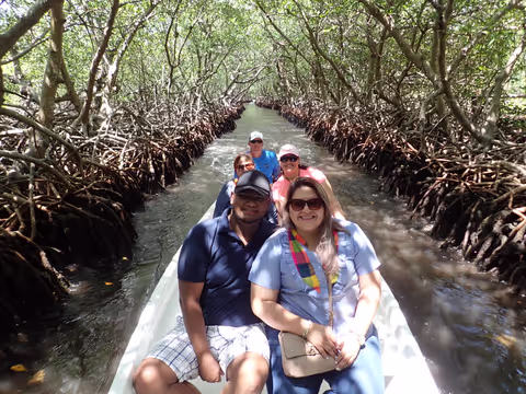 Private Mangrove Tunnel, Snorkeling & Sightseeing Tour