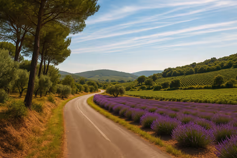 Provence Wine & Countryside Experience – Private Guided Car Tour (1/14 pax)