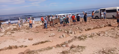 Exclusive Cape Peninsula Journey with Cape of Good Hope & Boulders Penguins
