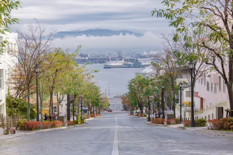 Hakodate：Hilights - 5Hour Motomachi, Goryokaku & Mt. Hakodate View- Chauffeur Tour (VAN 9 Pax)