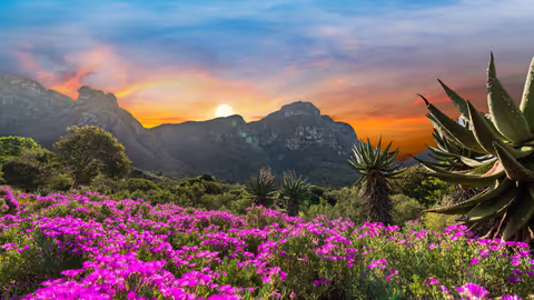 Kirstenbosch Botanical Garden / Groot Constantia winery