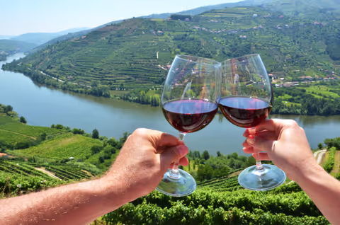 Douro by the Locals: Taste, Toast & Explore