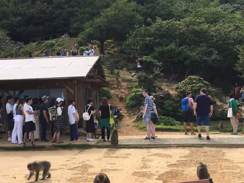 Monkey park & Bamboo grove