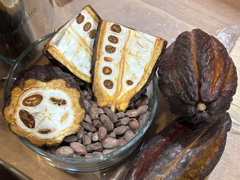 Parisian chocolates delight : A Taste of the Right Bank’s Finest