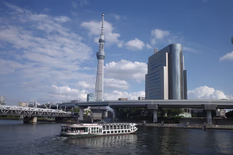 Tokyo 9-hour intensive tour: From Tradition to Modernity (Central and Eastern part of the city)