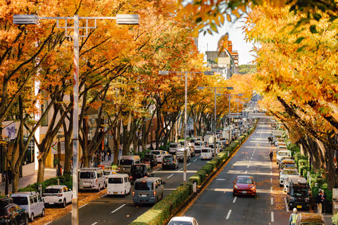 Tokyo for First-Time Visitors: Friendly Introduction to Japan
