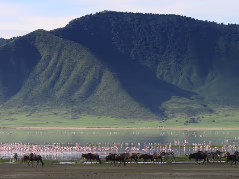 6-Day Safari Tented Lodge Standard Budget