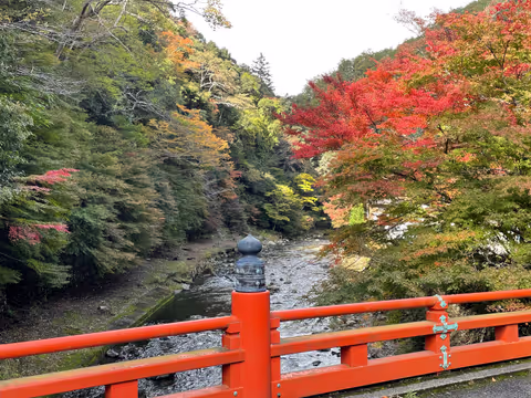 Northern Kyoto driving tour- visiting authentic homes, temples and pristine nature
