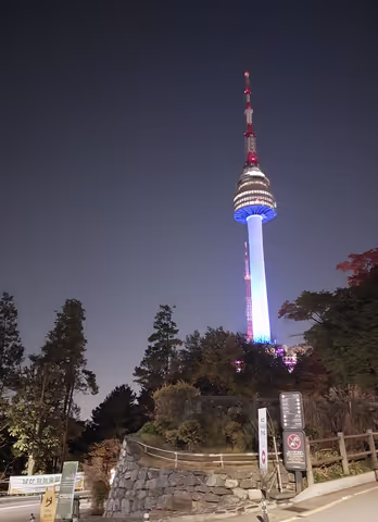 Magical Christmas Lights Night Tour (Private Van) All-Inclusive Premium Rooftop & Sunset Cruise