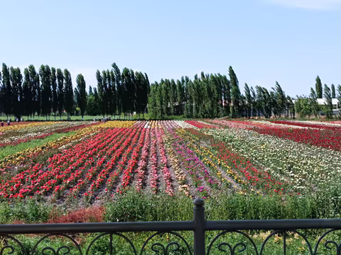 Uzbekistan: experience the local environment