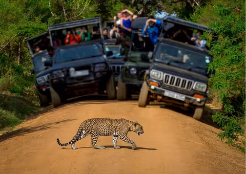 Jaipur: Same Day Jhalana Amagarh Leopard Safari Tour